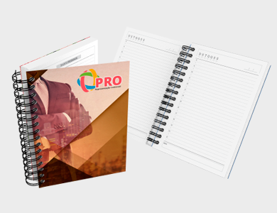 Agenda Permanente A6 2025 Capa Maleável 328 Páginas 10,6x14,9cm (Supremo 300g Verniz Total Frente) - 4x0 - 4 unid